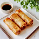 Fried Spring Rolls