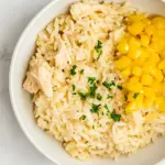 Instant Pot Chicken Flavored Rice
