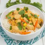 Instant Pot Thai Chicken