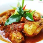 Nyonya Chicken Curry